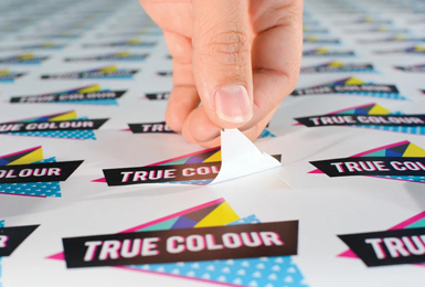 Self Adhesive Stickers