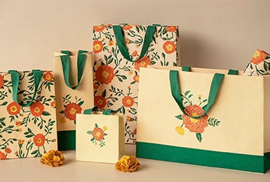 Printed Paper Carry Bag